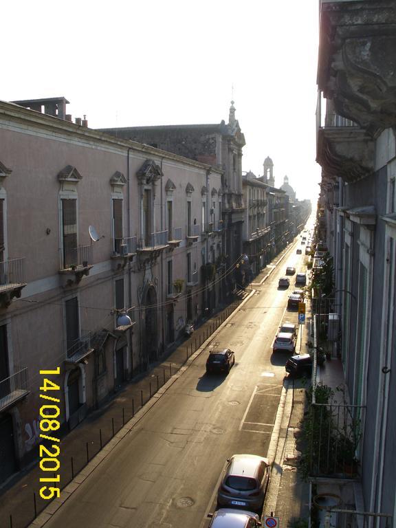 Triple Room City View,895605091:JPEG